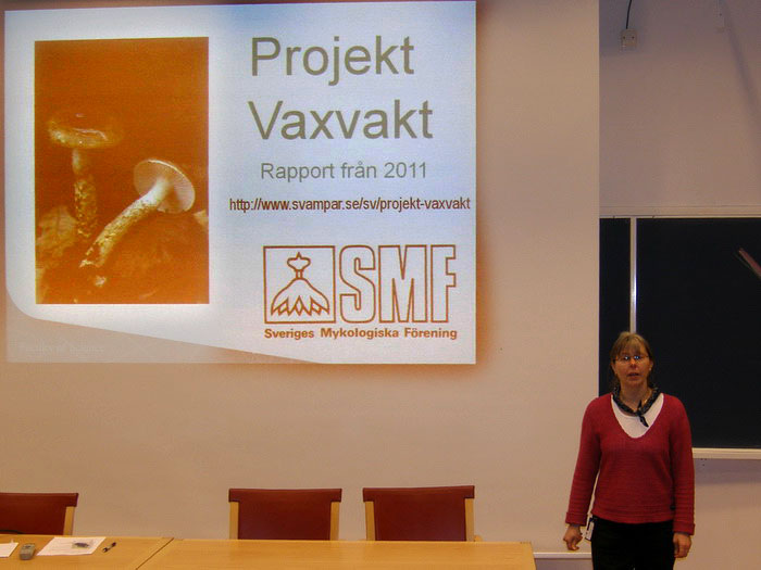 Ellen Larsson och projekt Vaxvakt