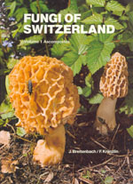 Fungi of Switzerland volym  1