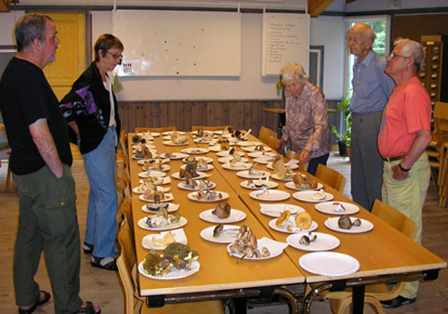 Besökare på första svampinformationen för hösten 2005